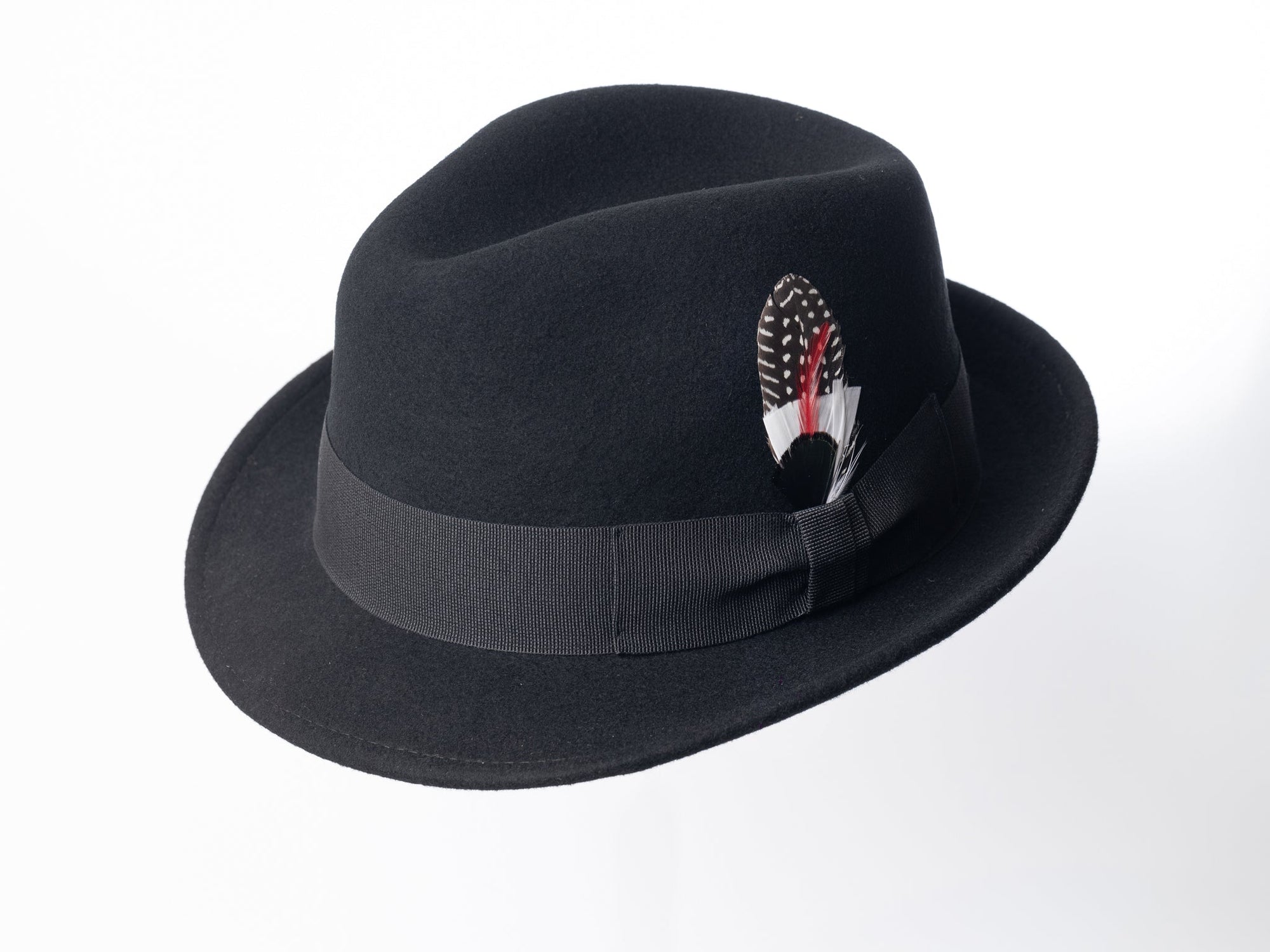Conde Trilby - Negro